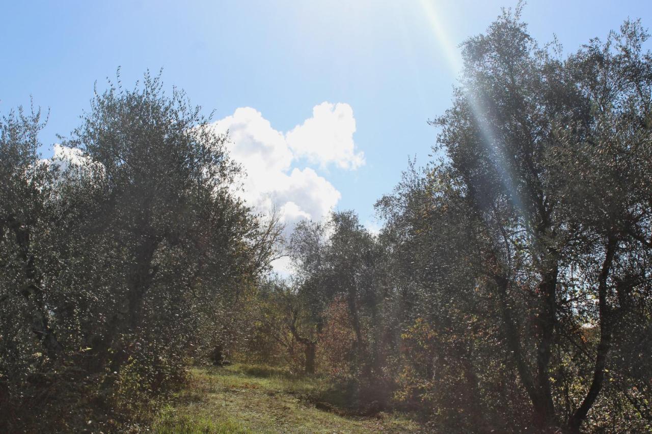 Agriturismo Due Comuni San Gervasio 外观 照片